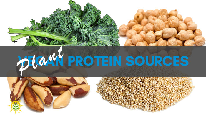 Plant Protein Sources - Don't Worry